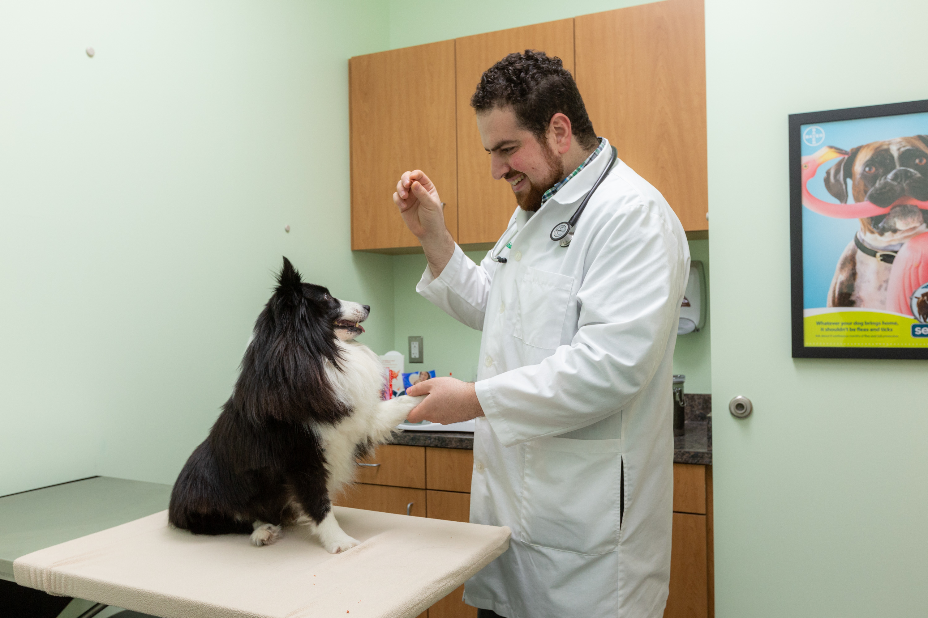 Our Family | Veterinarian in Leesburg, VA | Happy Tails Animal Hospital